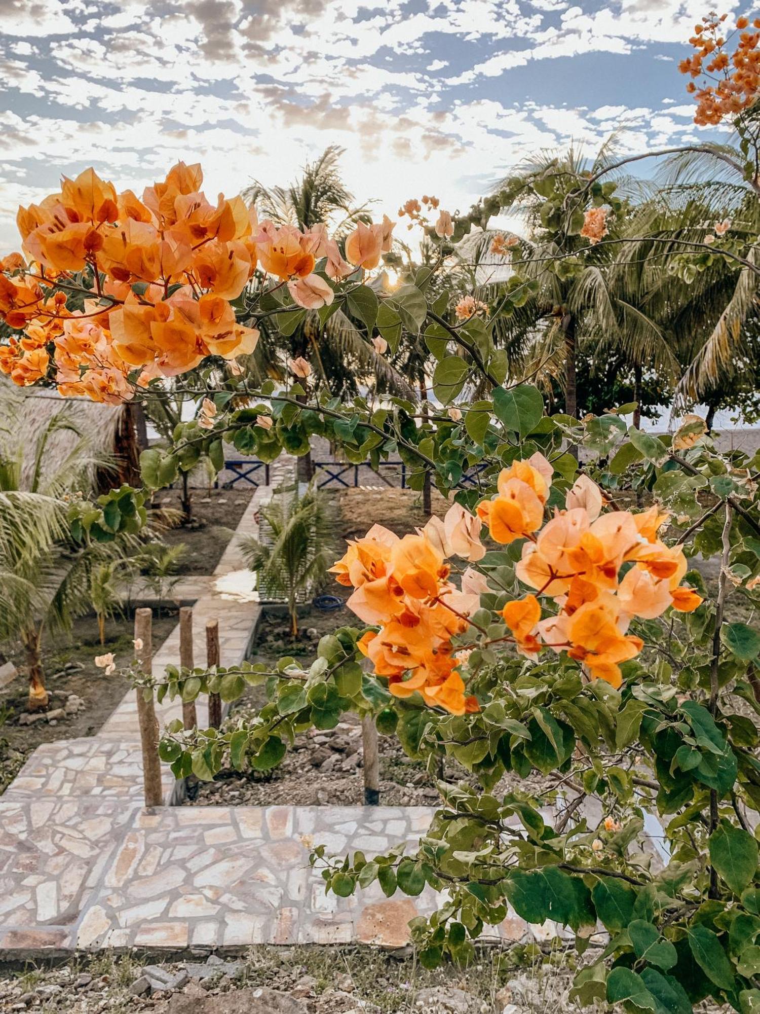Nimbu Beachhouse Transito エクステリア 写真