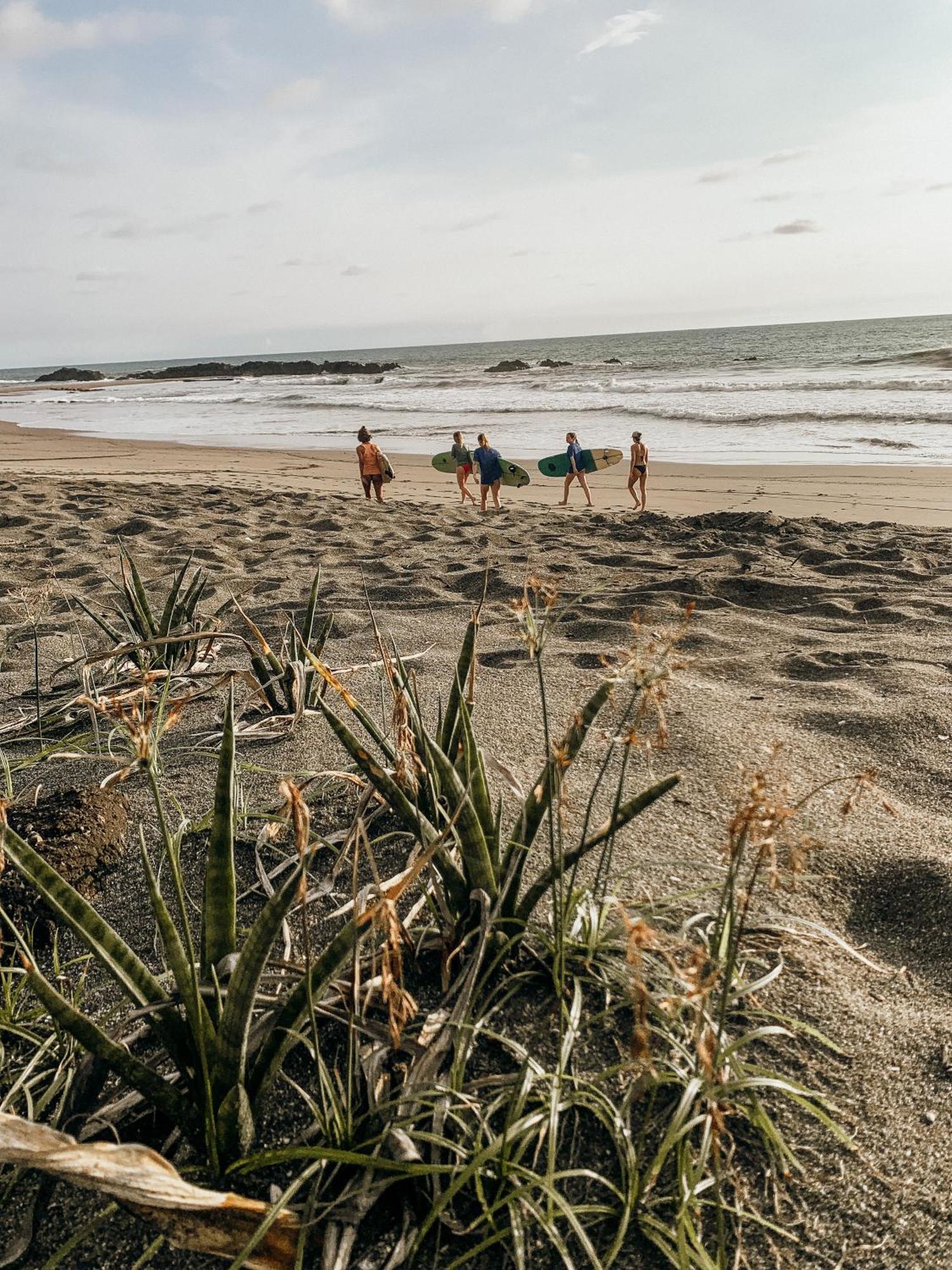 Nimbu Beachhouse Transito エクステリア 写真