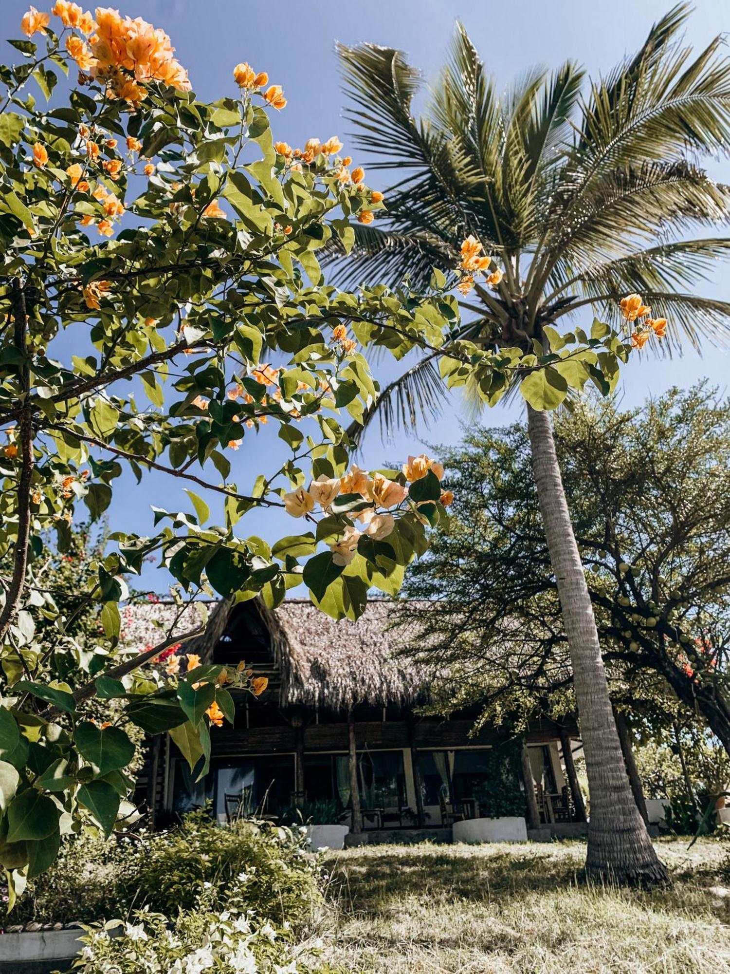 Nimbu Beachhouse Transito エクステリア 写真