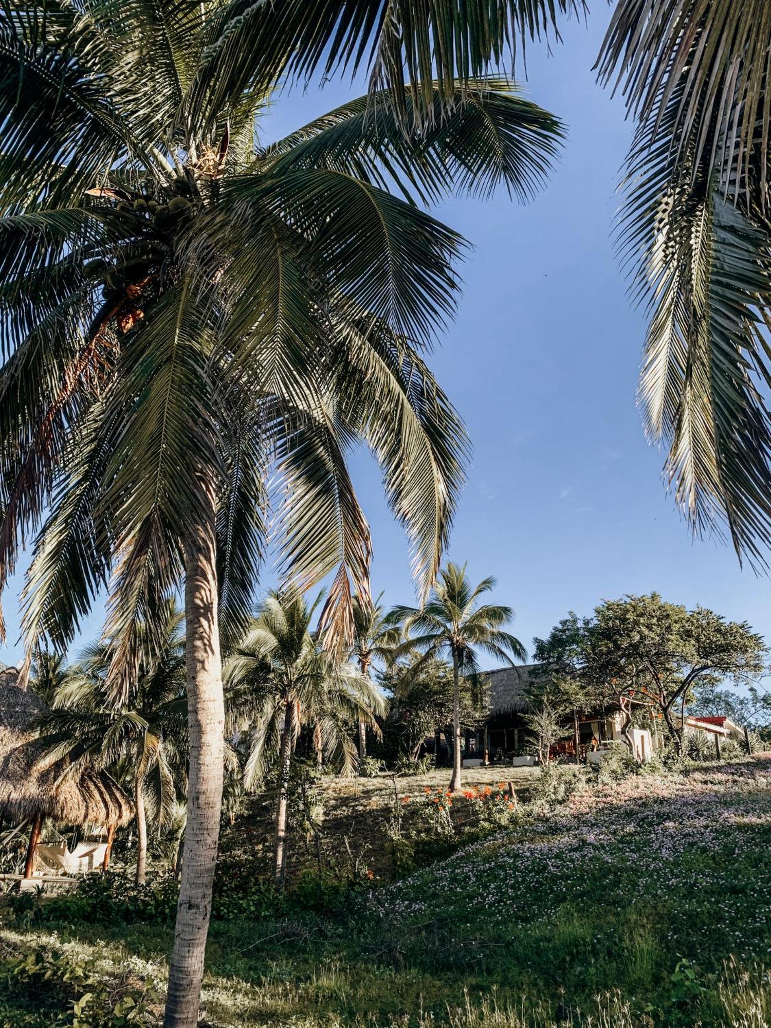 Nimbu Beachhouse Transito エクステリア 写真