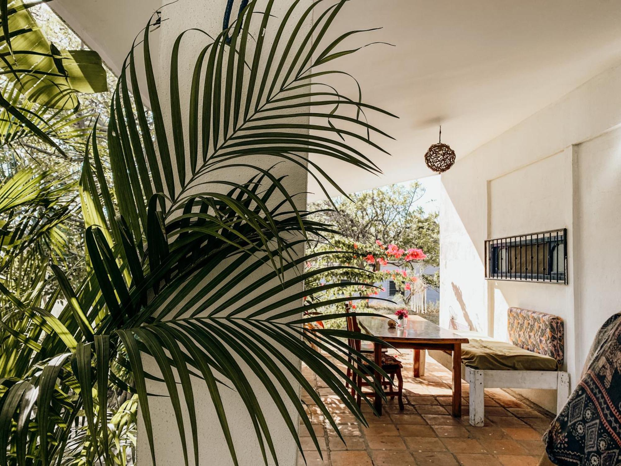 Nimbu Beachhouse Transito エクステリア 写真